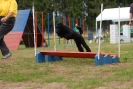Agilityturnier am 30.06.2007 _453