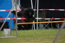 Agilityturnier am 30.06.2007 _456