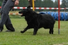 Agilityturnier am 30.06.2007 _474