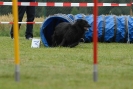 Agilityturnier am 30.06.2007 _475
