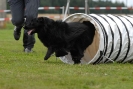 Agilityturnier am 30.06.2007 _476