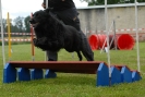 Agilityturnier am 30.06.2007 _477