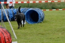 Agilityturnier am 30.06.2007 _478