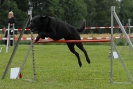Agilityturnier am 30.06.2007 _480