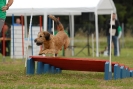 Agilityturnier am 30.06.2007 _49