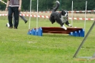 Agilityturnier am 30.06.2007 _505