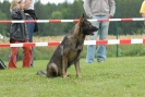Agilityturnier am 30.06.2007 _507