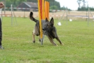 Agilityturnier am 30.06.2007 _509