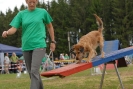 Agilityturnier am 30.06.2007 _50