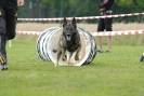 Agilityturnier am 30.06.2007 _511