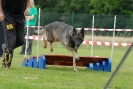 Agilityturnier am 30.06.2007 _512