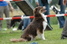 Agilityturnier am 30.06.2007 _513