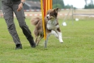 Agilityturnier am 30.06.2007 _514