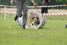 Agilityturnier am 30.06.2007 _516