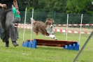 Agilityturnier am 30.06.2007 _517