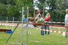 Agilityturnier am 30.06.2007 _518