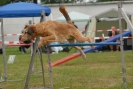 Agilityturnier am 30.06.2007 _51