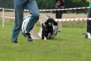 Agilityturnier am 30.06.2007 _521