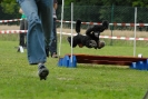 Agilityturnier am 30.06.2007 _522