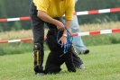 Agilityturnier am 30.06.2007 _523