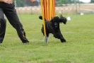 Agilityturnier am 30.06.2007 _526