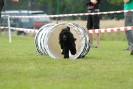Agilityturnier am 30.06.2007 _527