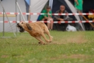 Agilityturnier am 30.06.2007 _52