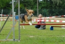 Agilityturnier am 30.06.2007 _537