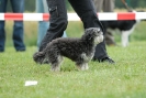 Agilityturnier am 30.06.2007 _538
