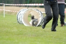 Agilityturnier am 30.06.2007 _541