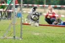 Agilityturnier am 30.06.2007 _542
