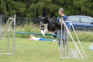 Agilityturnier am 30.06.2007 _543