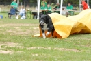 Agilityturnier am 30.06.2007 _544