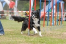 Agilityturnier am 30.06.2007 _545