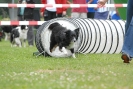 Agilityturnier am 30.06.2007 _546