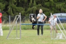 Agilityturnier am 30.06.2007 _548