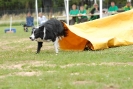 Agilityturnier am 30.06.2007 _549