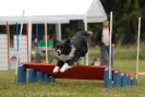 Agilityturnier am 30.06.2007 _54