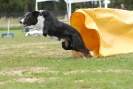 Agilityturnier am 30.06.2007 _552