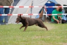 Agilityturnier am 30.06.2007 _562