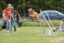 Agilityturnier am 30.06.2007 _563