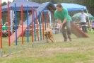 Agilityturnier am 30.06.2007 _564