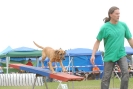 Agilityturnier am 30.06.2007 _567