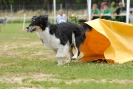 Agilityturnier am 30.06.2007 _569