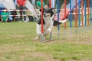 Agilityturnier am 30.06.2007 _571