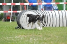 Agilityturnier am 30.06.2007 _572