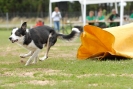 Agilityturnier am 30.06.2007 _576