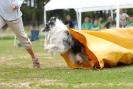 Agilityturnier am 30.06.2007 _580