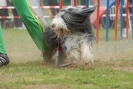 Agilityturnier am 30.06.2007 _601