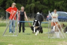 Agilityturnier am 30.06.2007 _605